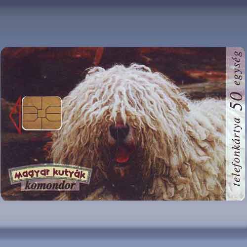 Komondor